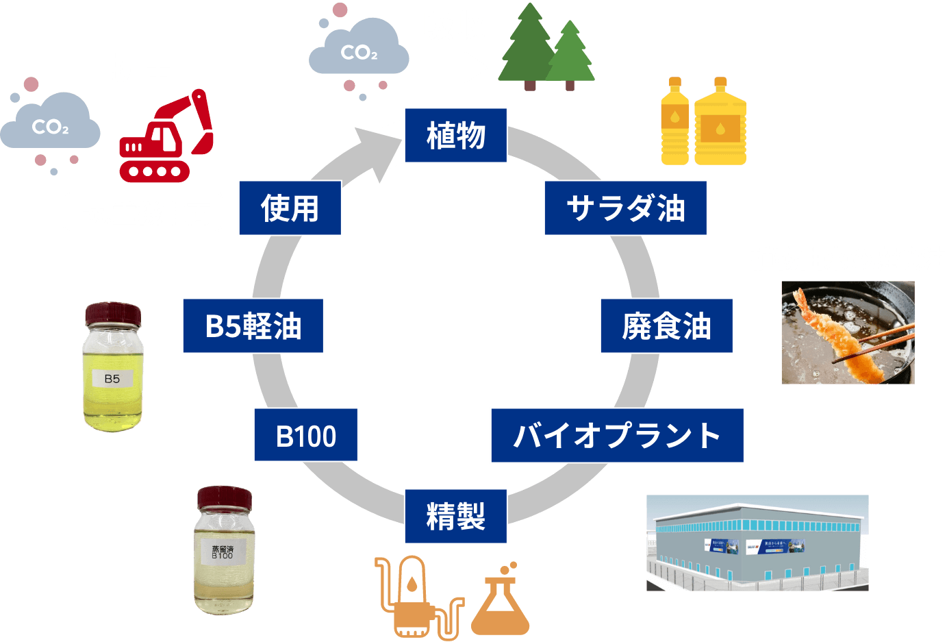 バイオ燃料とは？